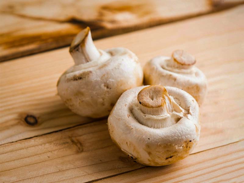 Button Mushroom Cultivation in Nepal