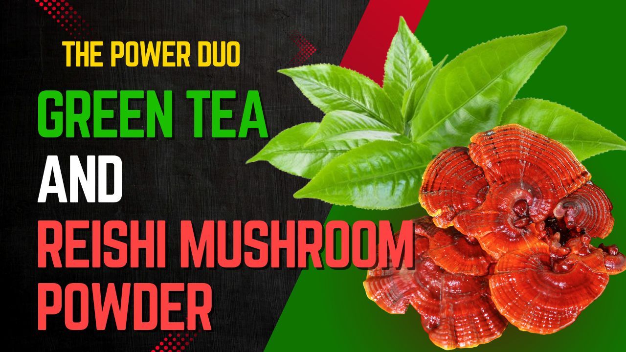 The Power Duo: Green Tea and Reishi Mushroom Powder