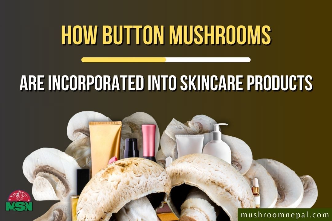 How Button Mushrooms are Incorporated Into Skincare Products