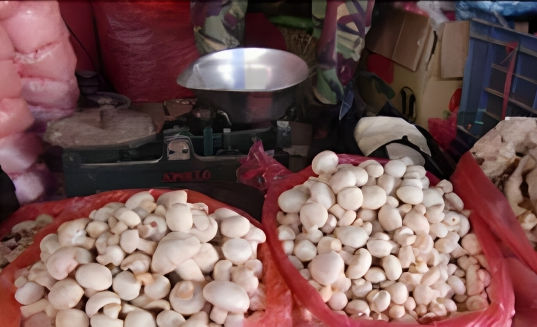 Mushroom Research in Nepal - Market