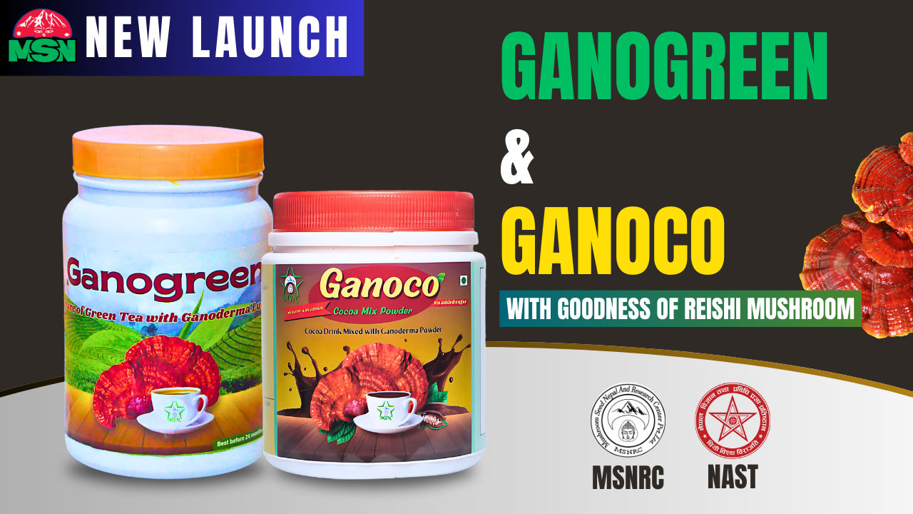 Successful Launch of Ganogreen and Ganoco at NAST