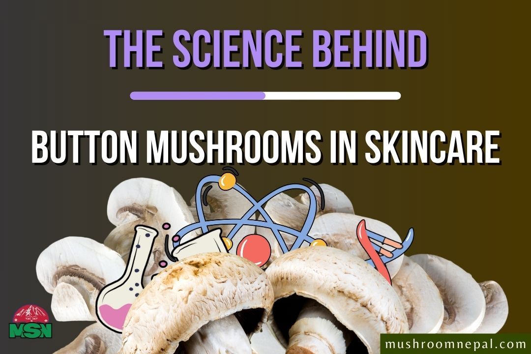 The Science Behind Button Mushrooms in Skin Care