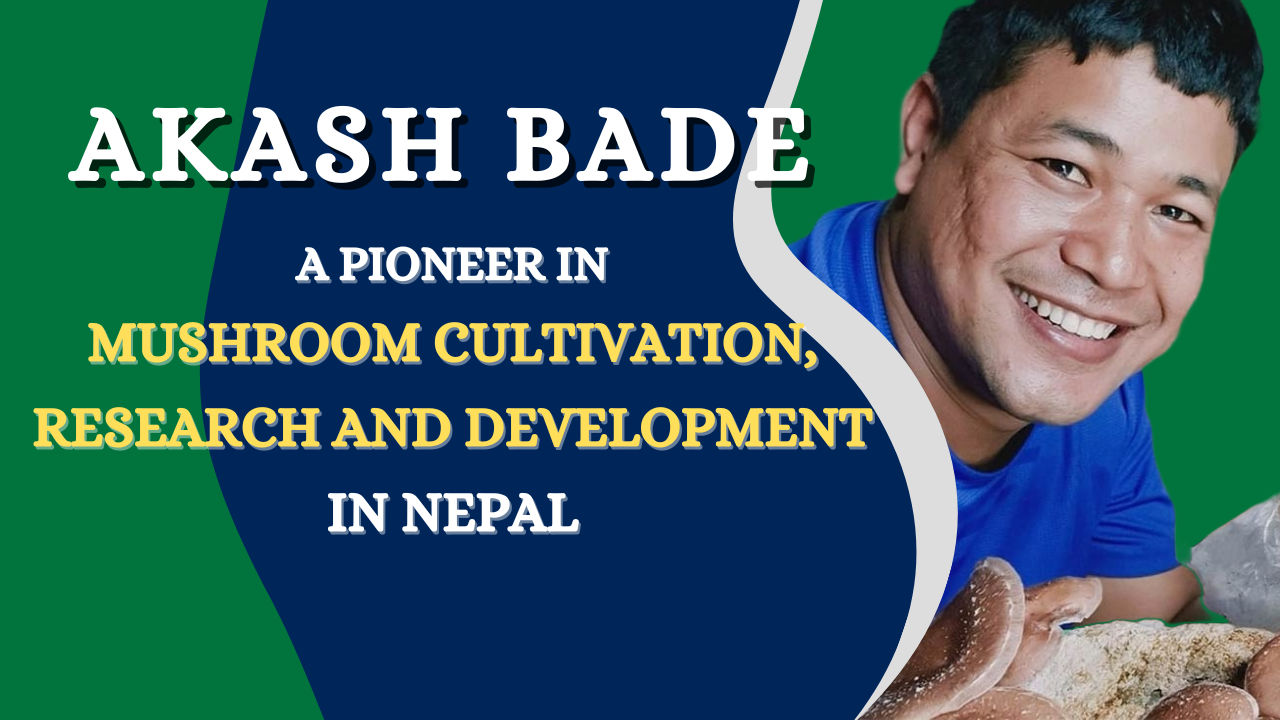 Akash Bade: A Mushroom Pioneer in Nepal | Mushroom Cultivation, Research and Development