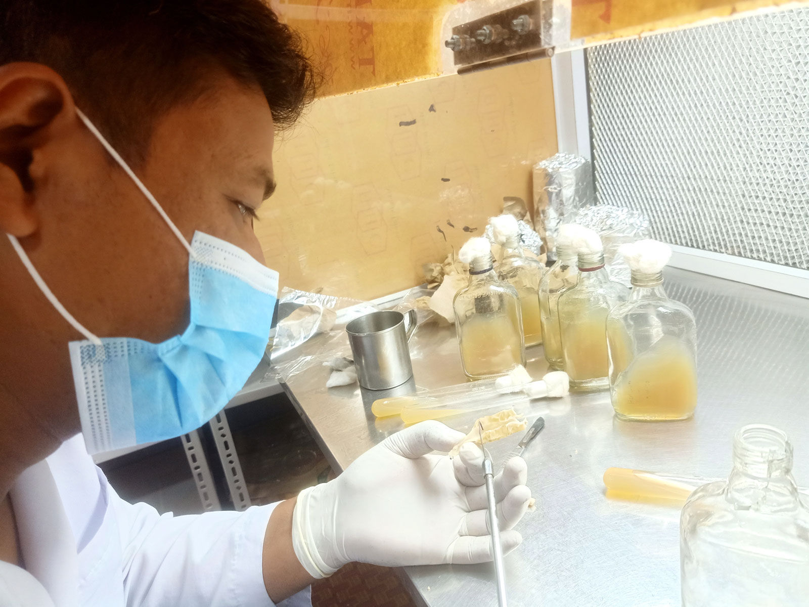 Mushroom Research in Nepal: Industry, Prospects and Challenges
