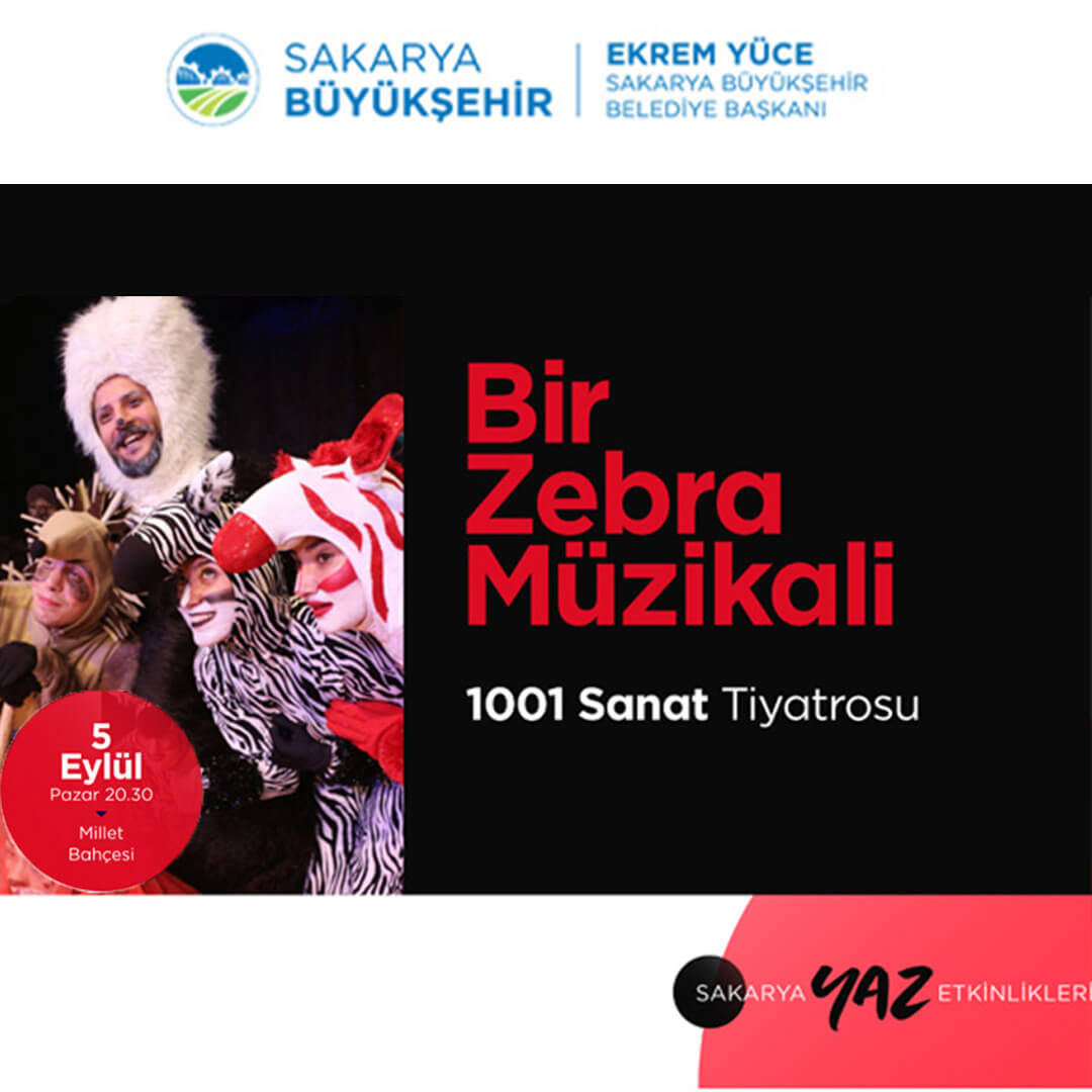 Bir Zebra Müzikali