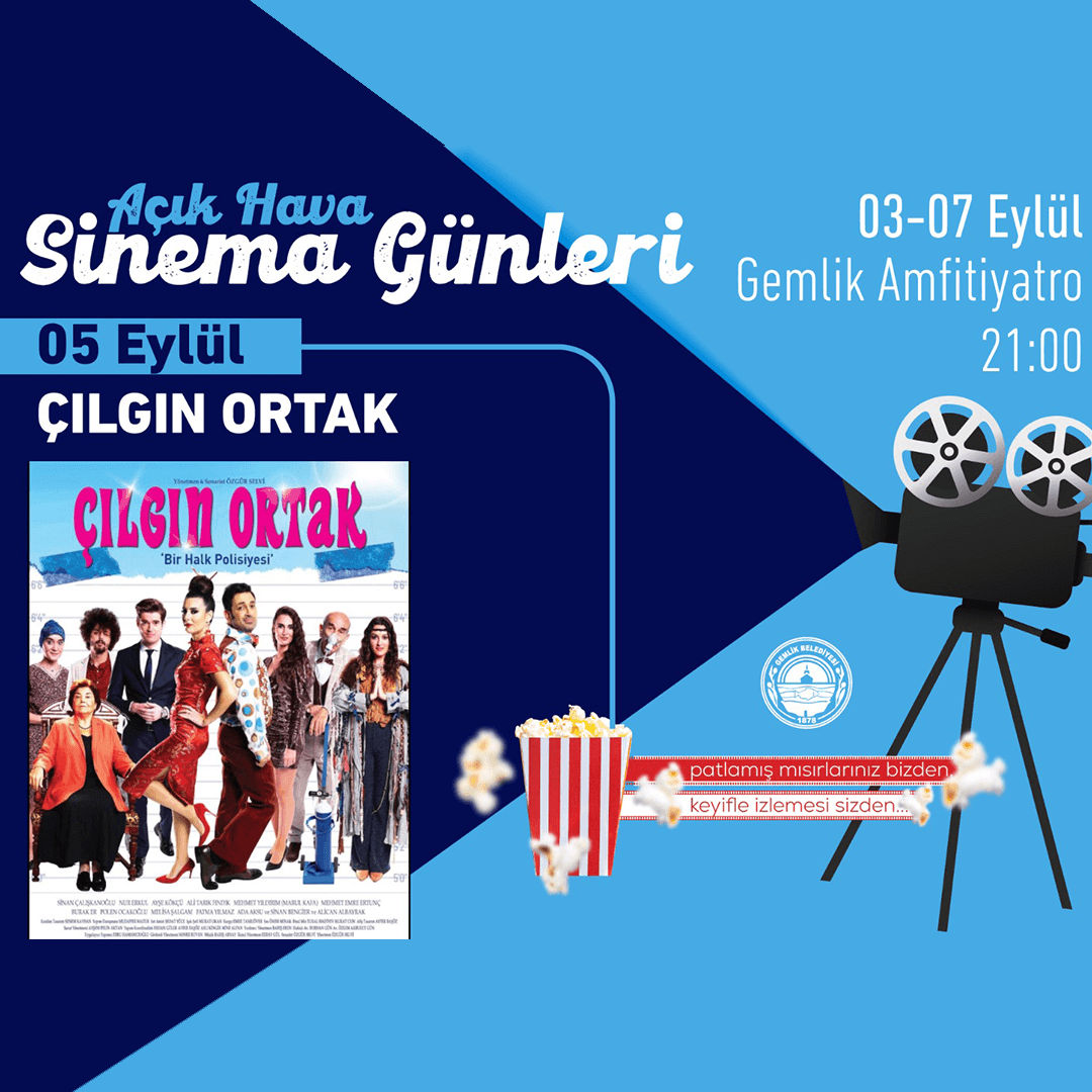 Çılgın Ortak