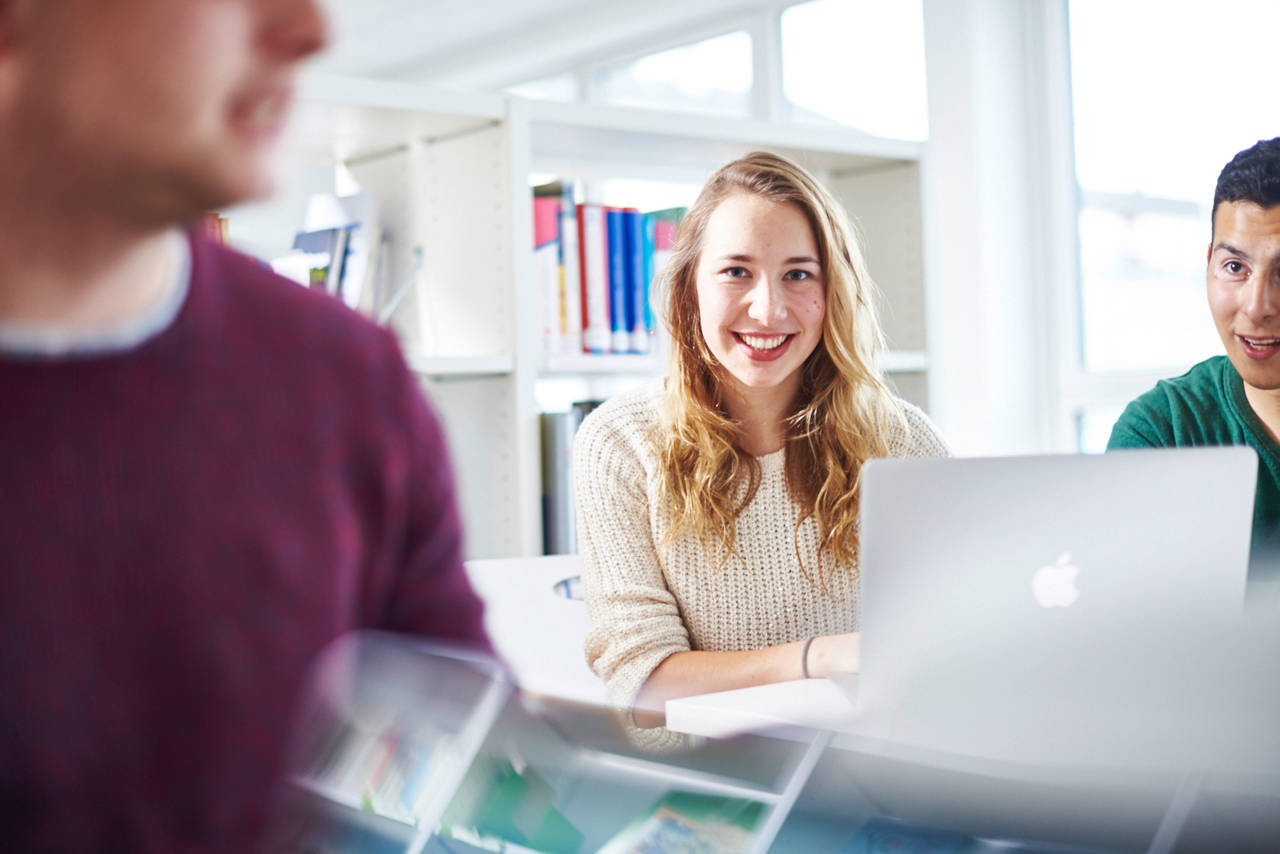 Zwei Studierende lernen gemeinsam in der Bibliothek