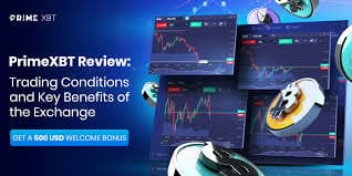 Discover the Future of Trading with Primexbt Website