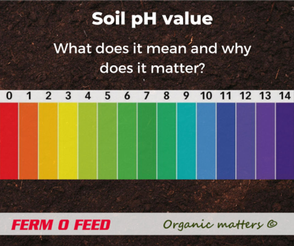 soil ph blog