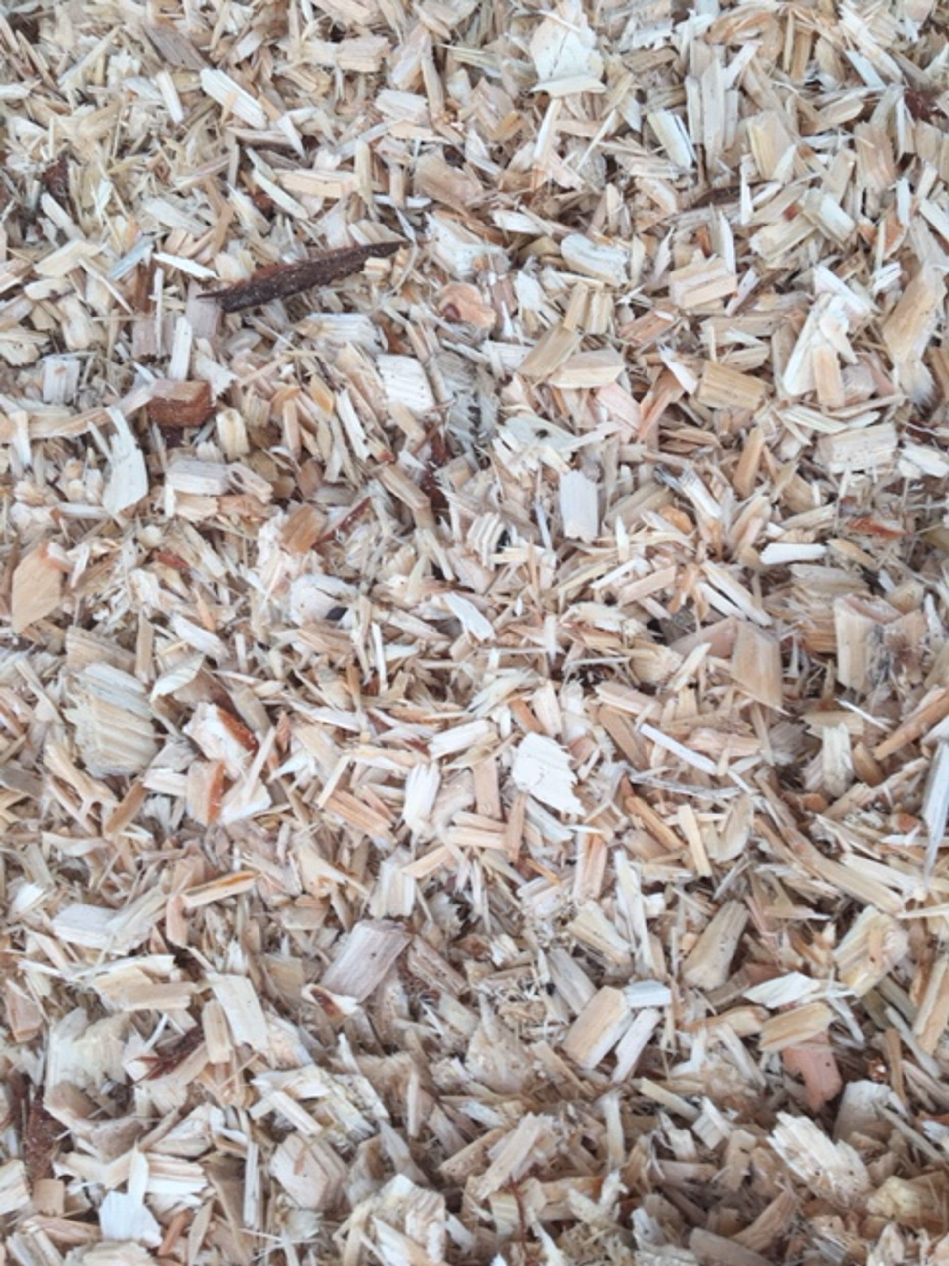 productfoto zagerijchips