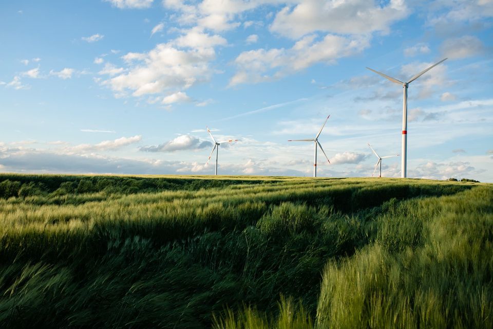 Ecologie-3