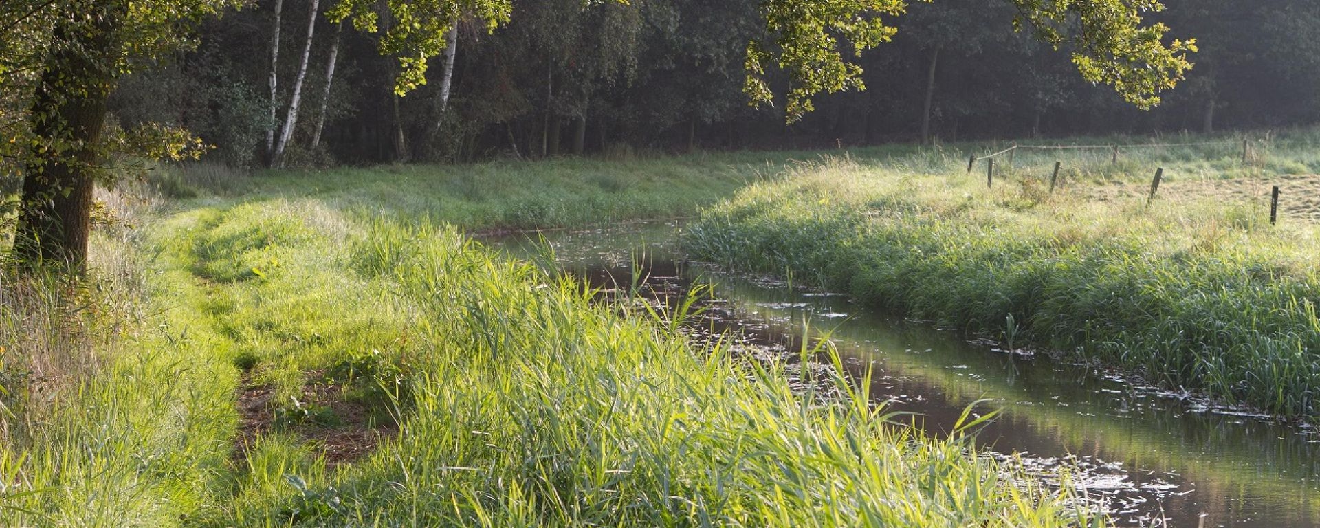 Ecologisch onderzoek | Faunavoorzieningen | Den Ouden Bodac