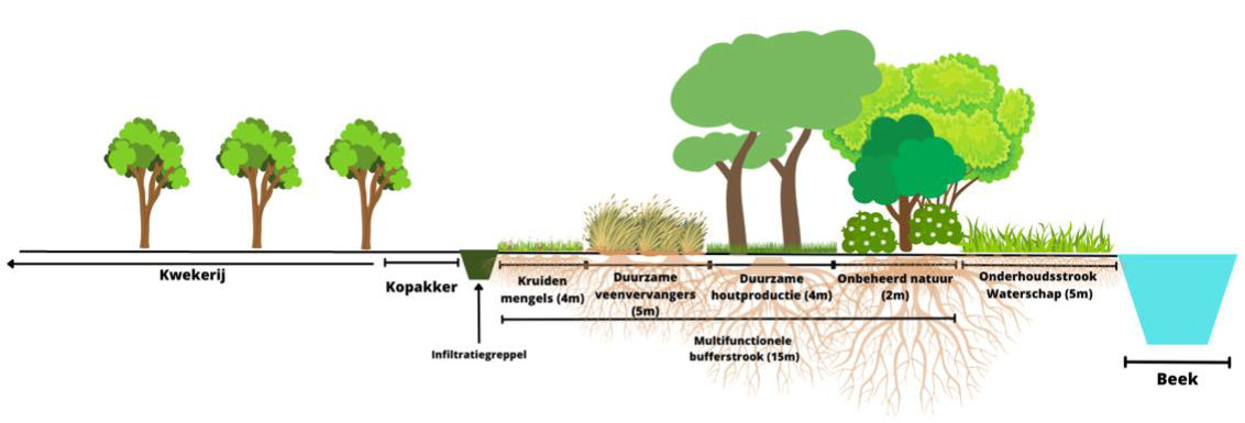 Productieve bufferstroken - Den Ouden Organic