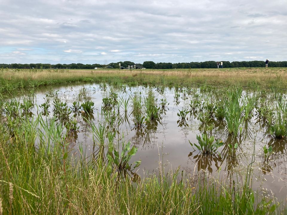 Ecologie Den Ouden Bodac