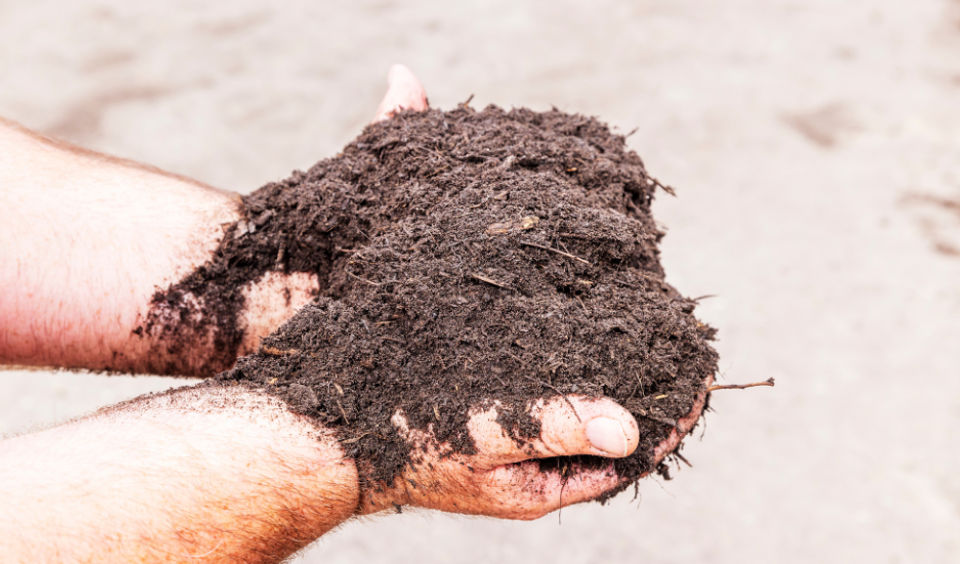 Compostactie Oosterhout Den Ouden Organic
