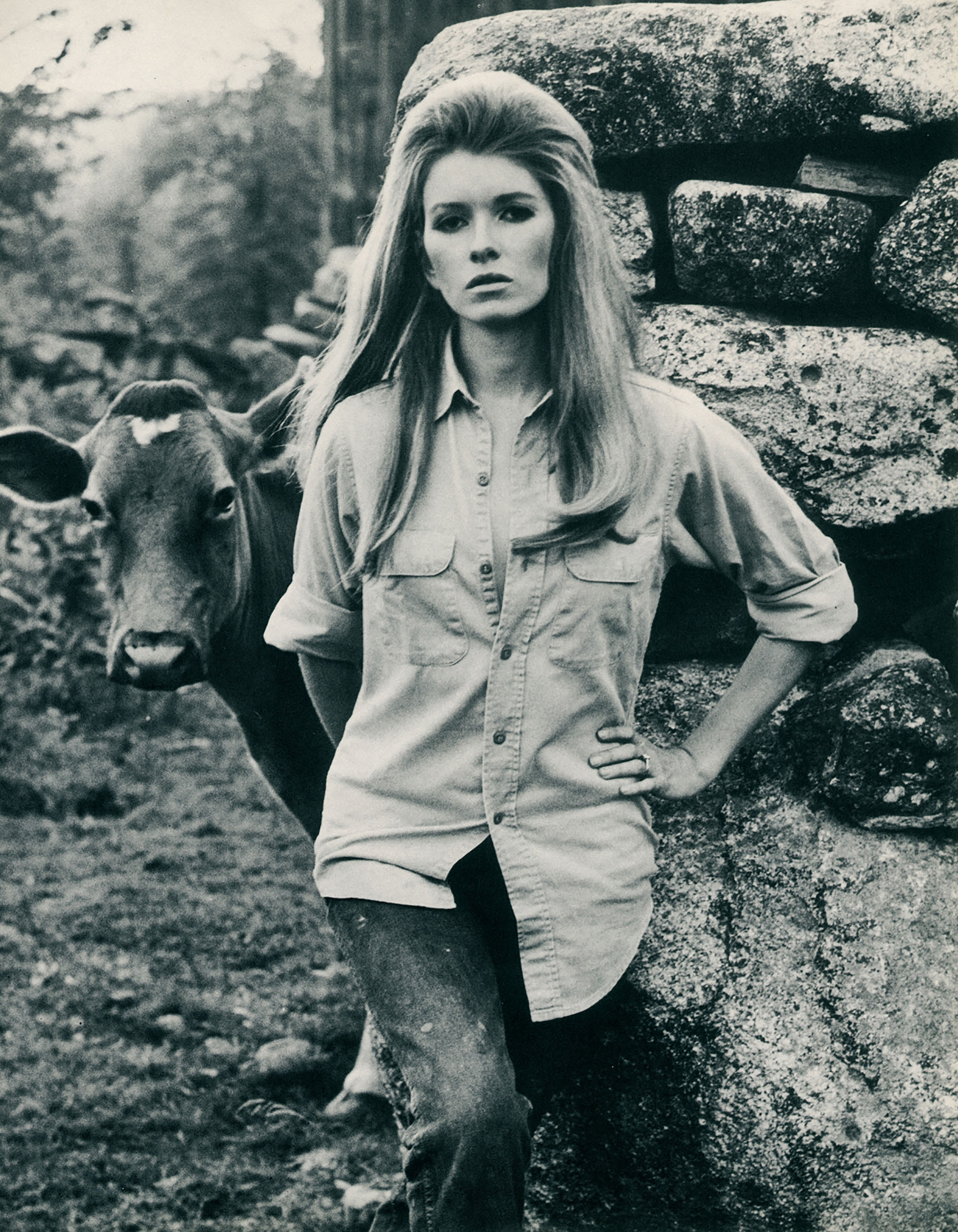 Martha Stewart