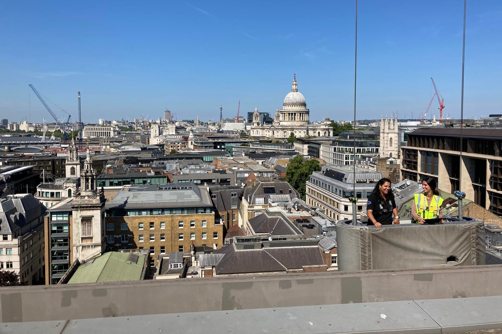 Tara on site 4 cradle