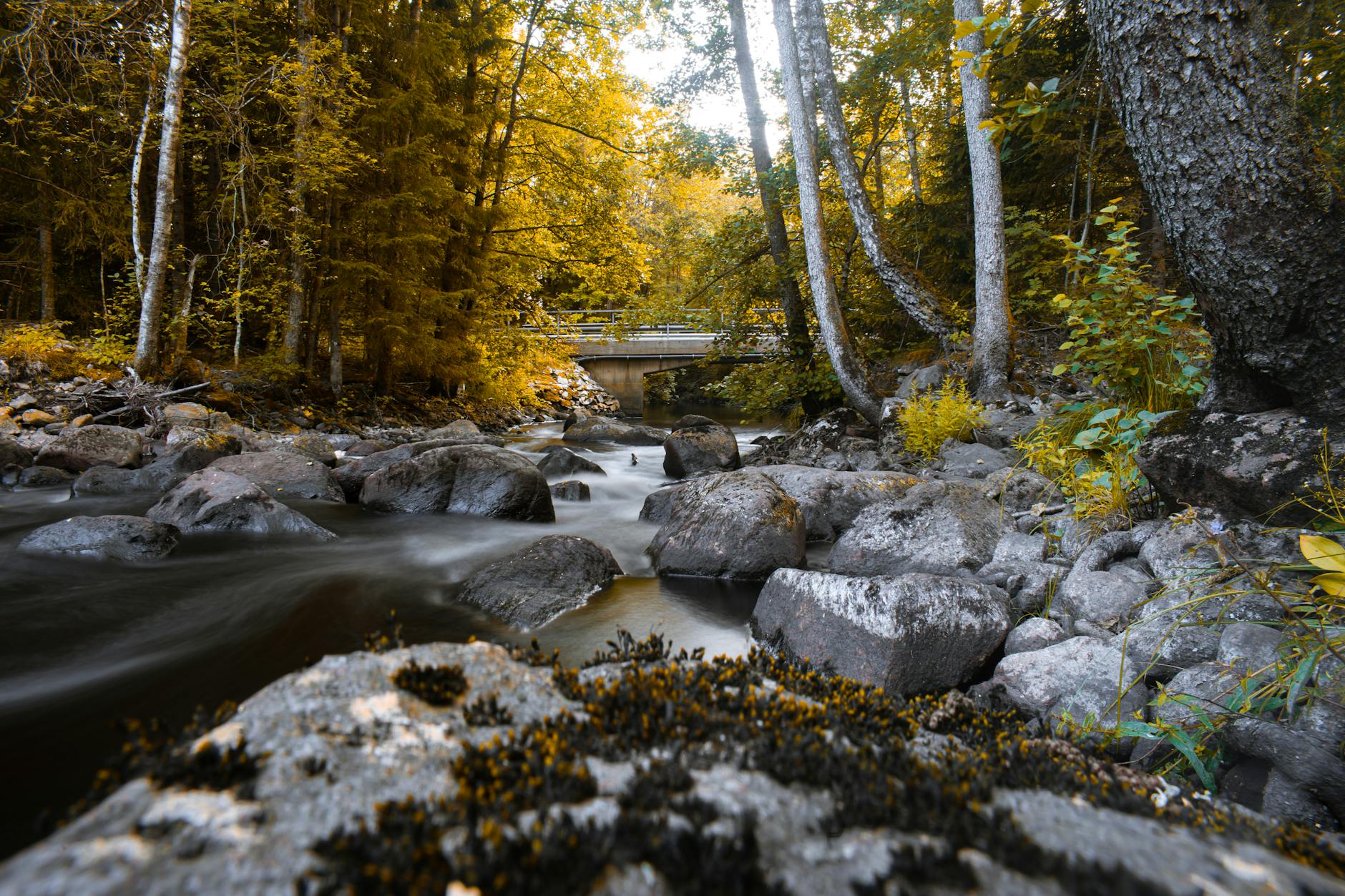 Couple hiking through autumn forest trail capturing slow travel and nature immersion trends
