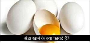 What are the benefits of eating eggs