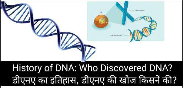 History of DNA: Who Discovered DNA