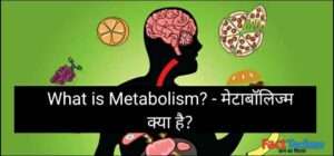 What is Metabolism