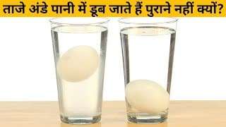 Why Do Rotten Eggs Float? - सड़े हुए अंडे पानी में क्यों तैरते है?