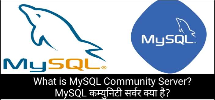 What is MySQL Community Server? MySQL कम्युनिटी सर्वर क्या है?