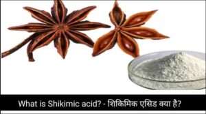 What is Shikimic acid? - शिकिमिक एसिड क्या है?