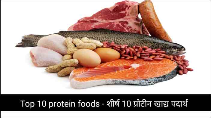 Top 10 protein foods - शीर्ष 10 प्रोटीन खाद्य पदार्थ