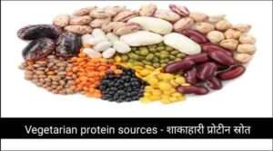 Vegetarian protein sources - शाकाहारी प्रोटीन स्रोत