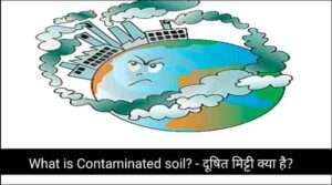 Contaminated soil