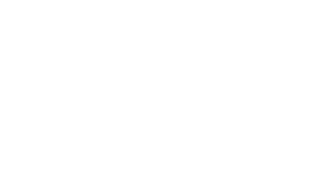 E-Service