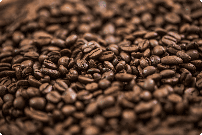 ARABICA COFFEE