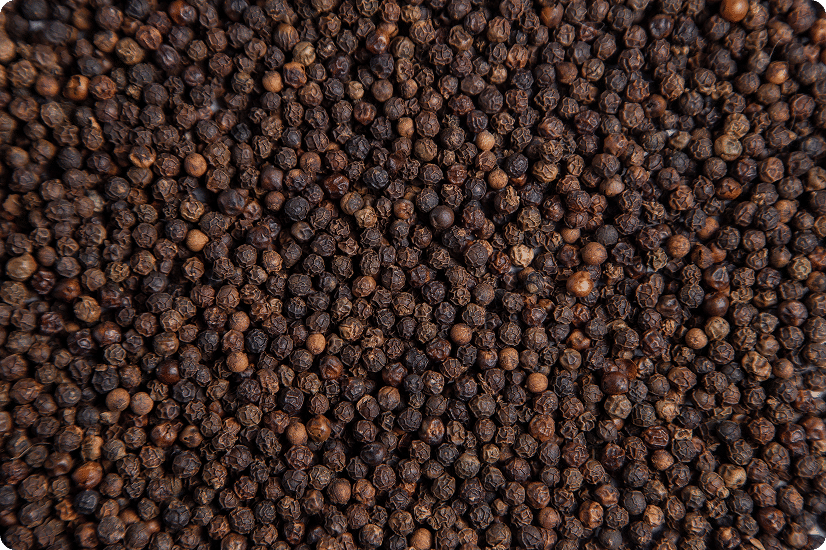 BLACK PEPPER