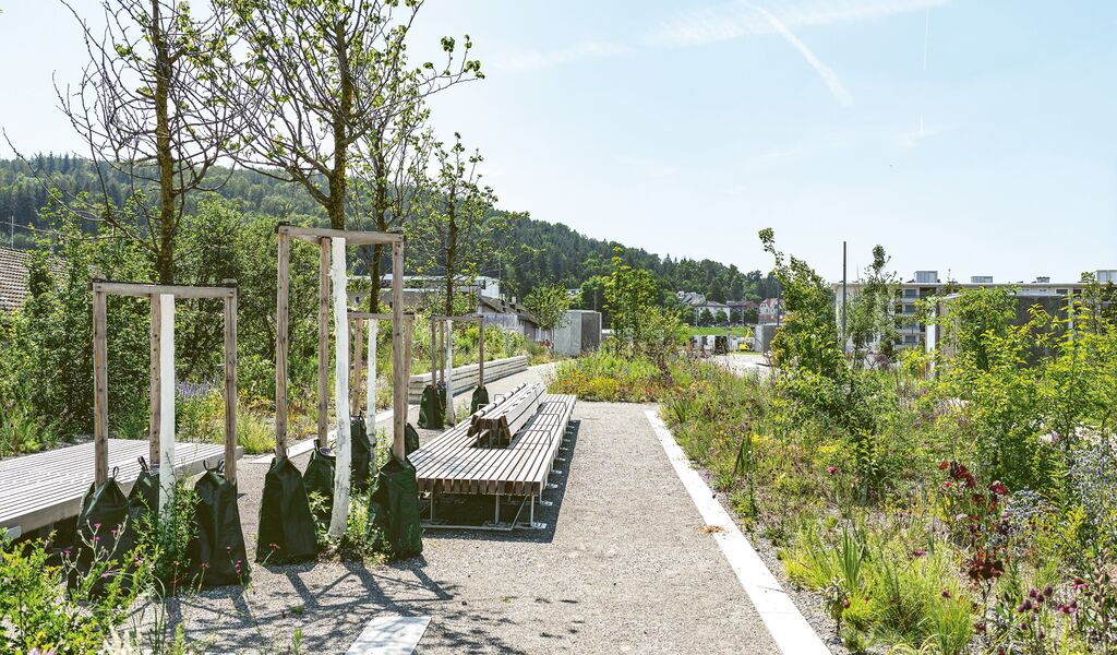 Eine Linie gestalten: Kritik des <br>Ueberlandparks