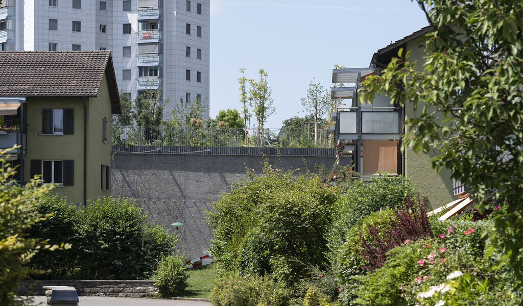 Auf der Einhausung Schwamendingen wächst der Ueberlandpark