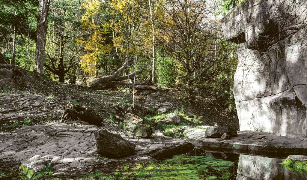 Von der Kunst, die Natur <br> zu imitieren