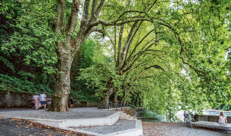 Selbstverständlich promenieren