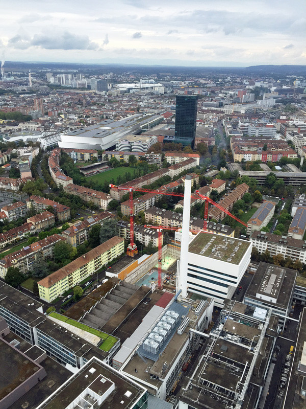 Hochparterre Im RocheMassiv