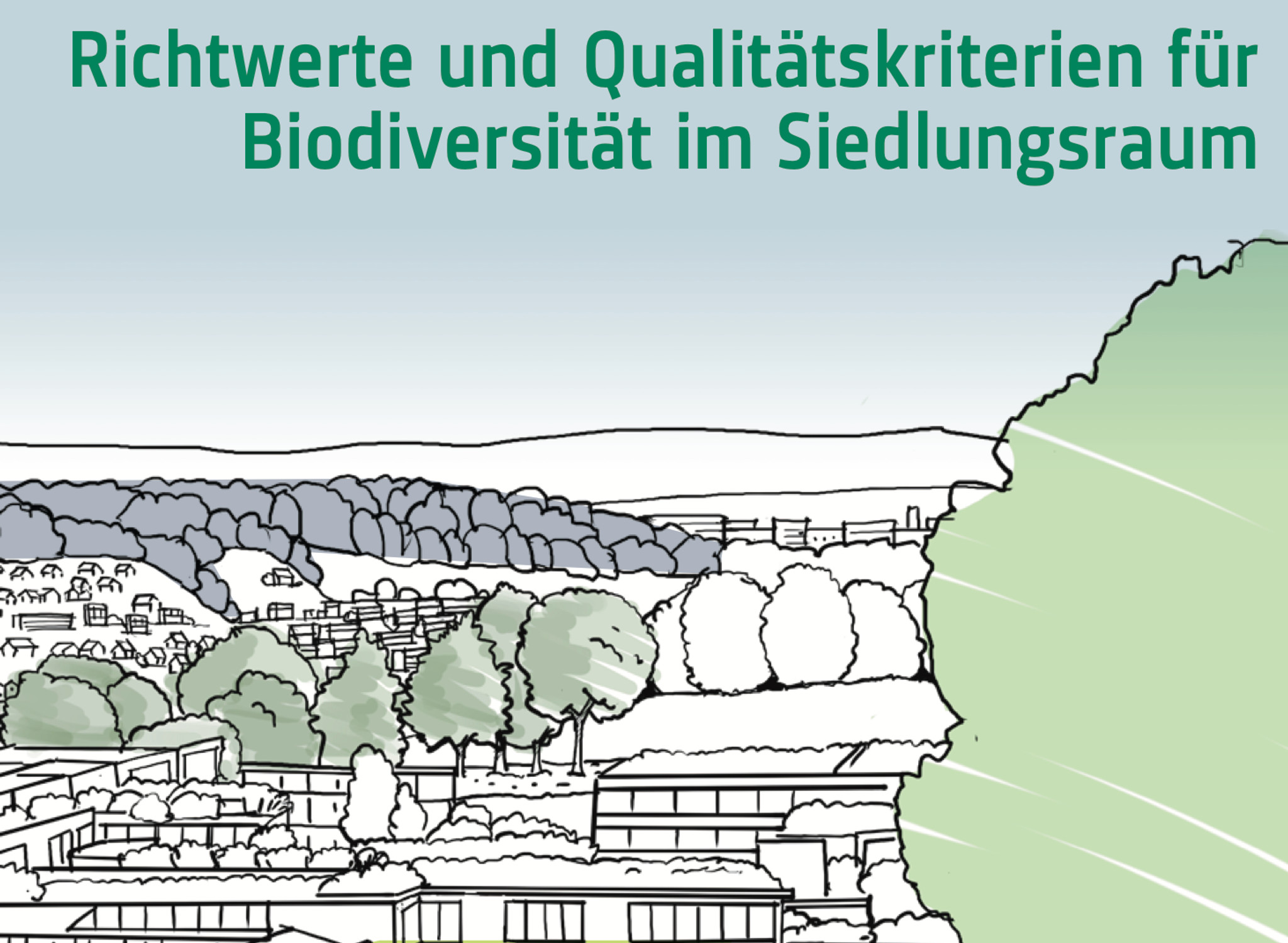 Sieben Punkte fassen zusammen, was Flora und Fauna im Siedlungsaum hilft.