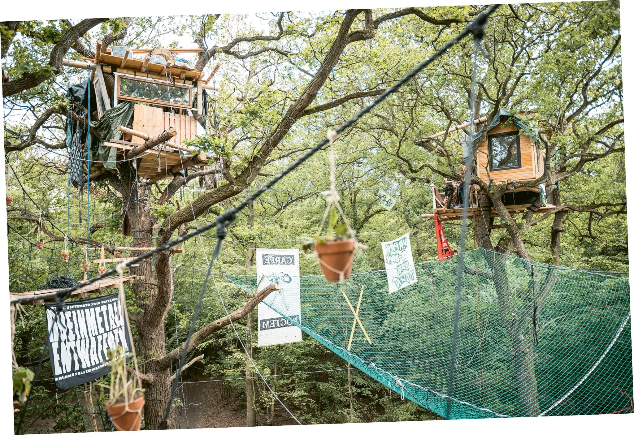 Verzögerungsarchitektur im Hambacher Wald, 2019. (Foto: Tim Wagner)