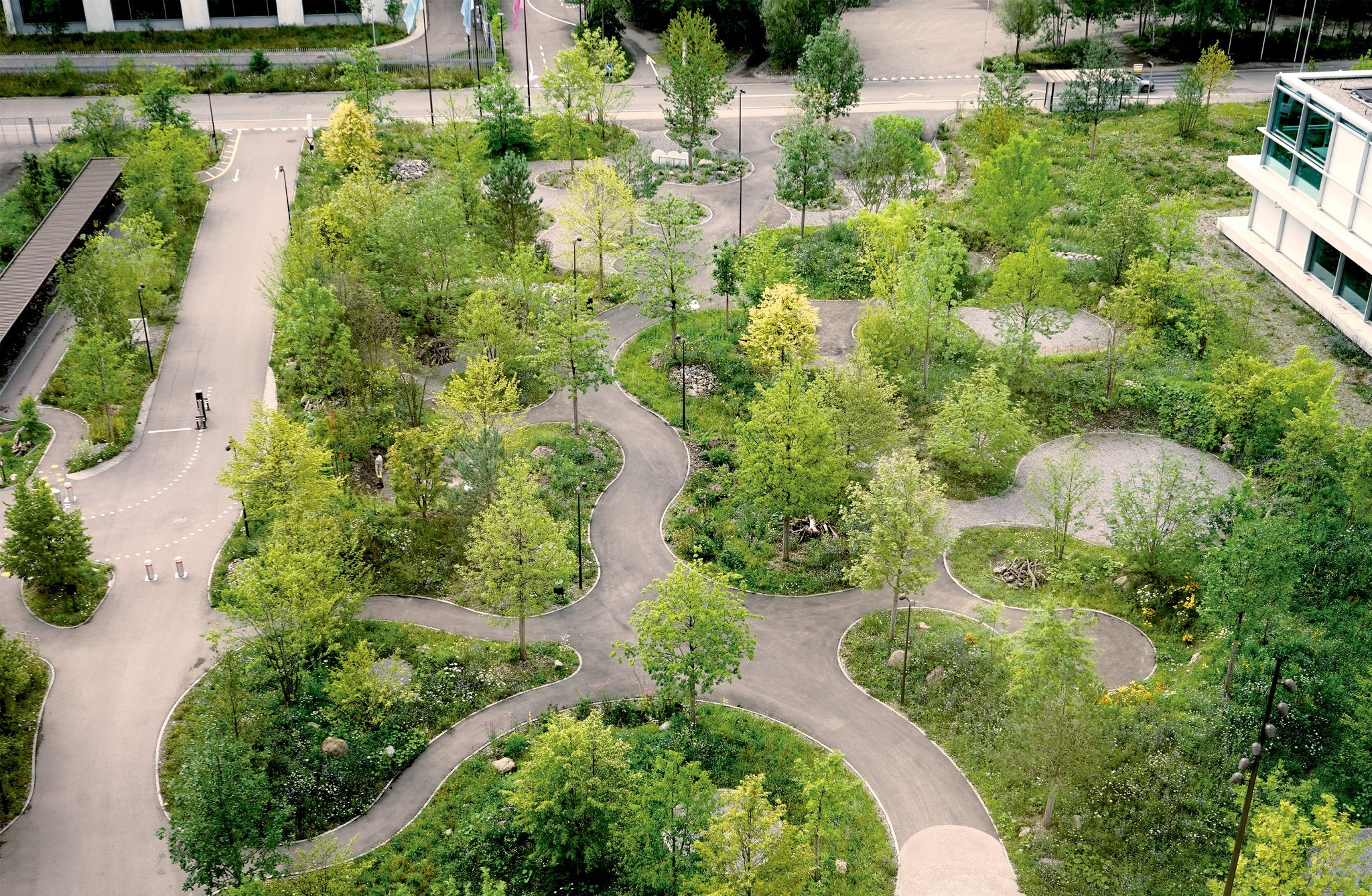Landschaft aus Hügeln, Wegen und Plätzen in lauschigem Grün: der Park des DSM-Campus in Kaiseraugst