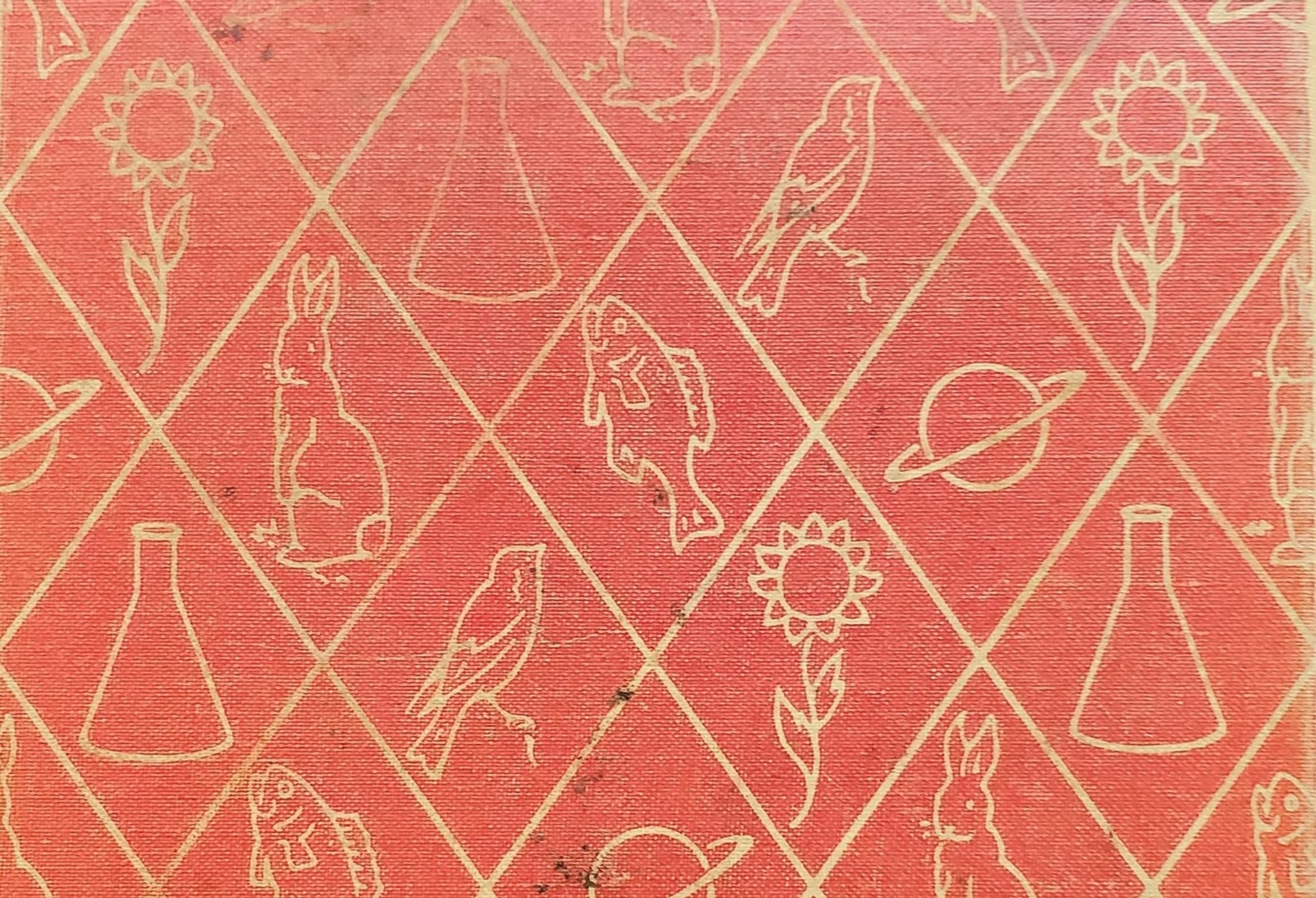 Umschlag eines amerikanischen Kinderbuchs über Wissenschaft von 1940 (The Wonderworld of Science, Book 3)