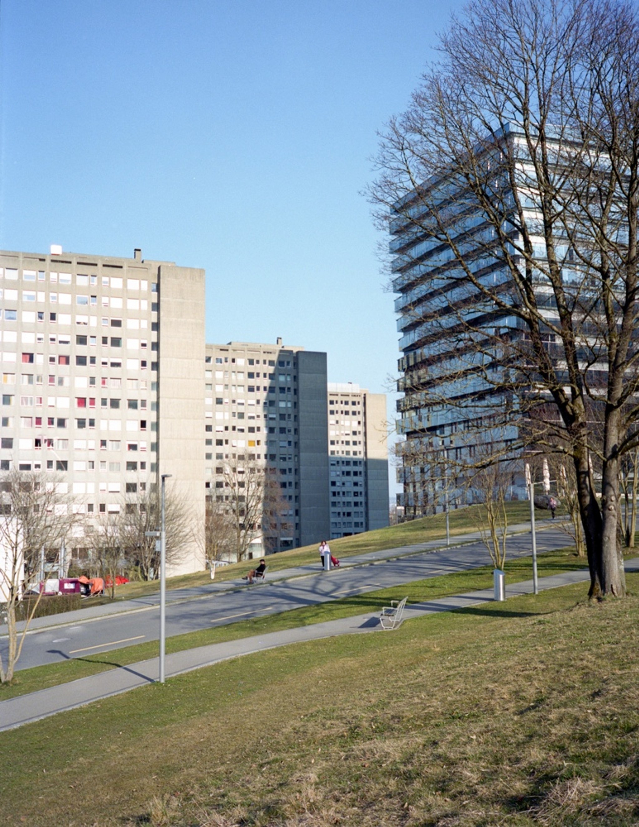 Die Triemli-Türme sollen um- und weitergenutzt werden. Foto: ZAS*