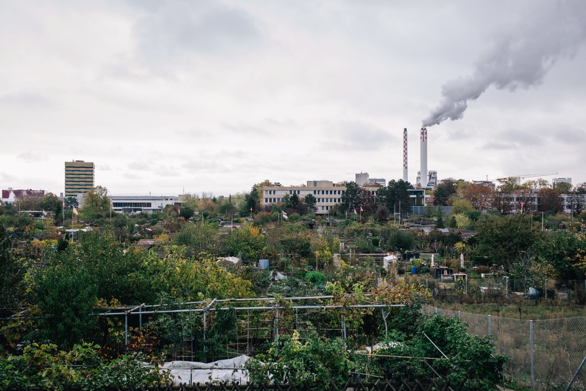 Der Burgfeldenpark in Basel thematisiert, was früher am Stadtrand und heute mittendrin liegt: Schrebergärten, Kehrichtverbrennung, «Psychi» und Bürgerspital.