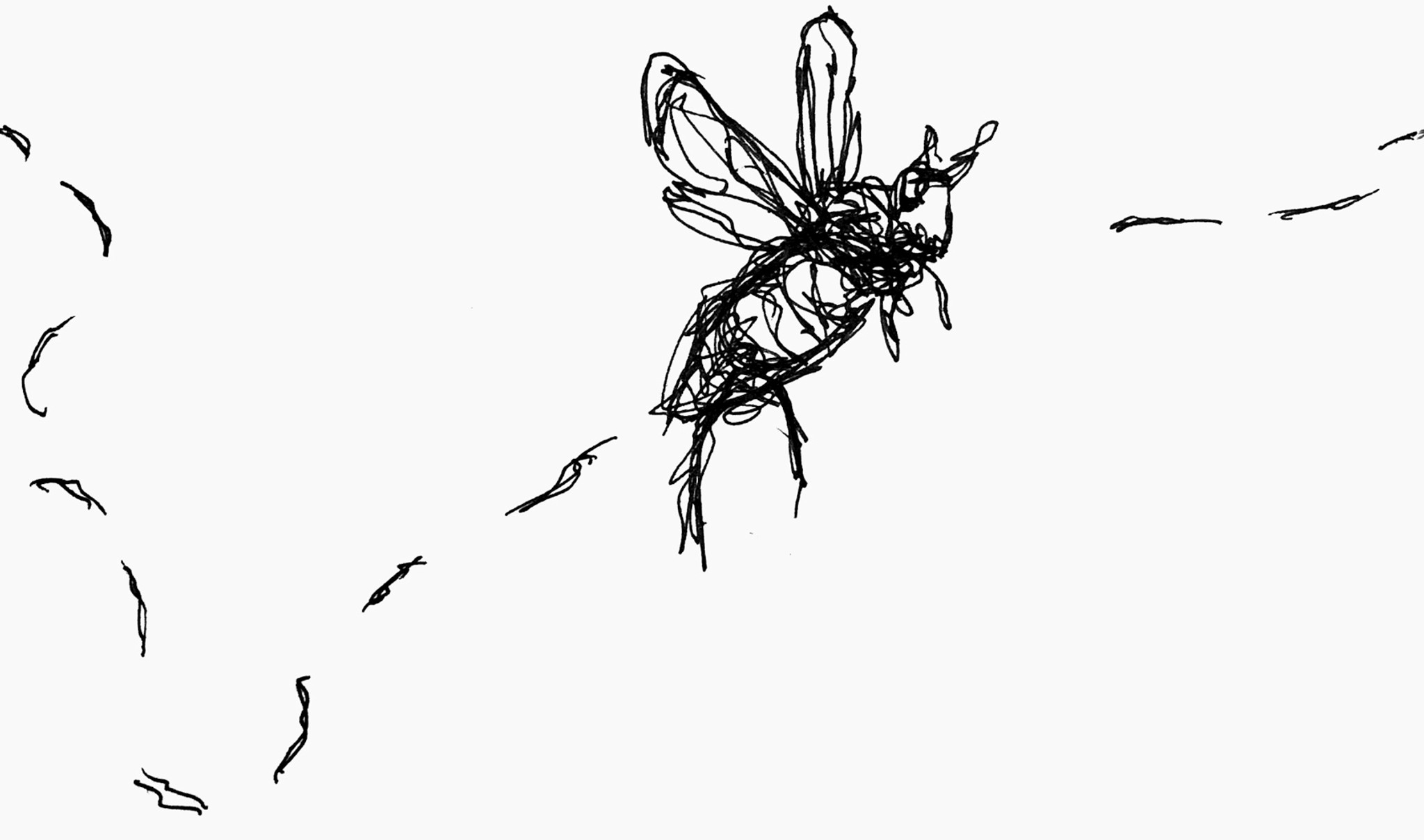 Beetrail