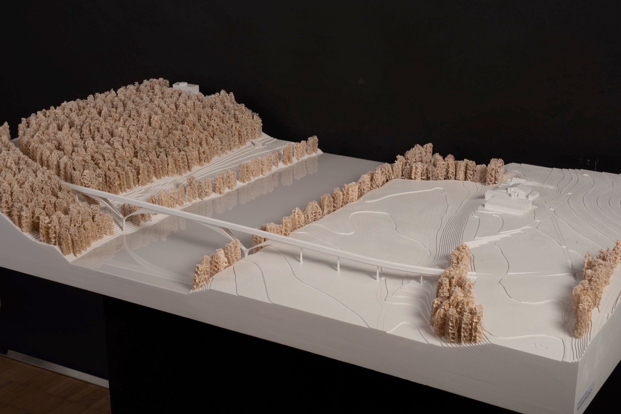 Modell des Siegerprojekts von Santiago Calatrava