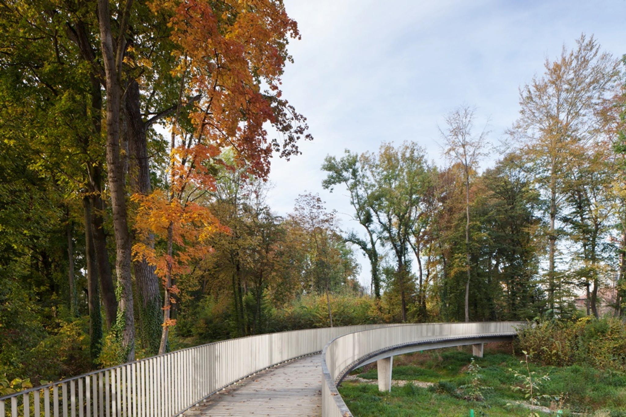 Murg-Auen-Park in Frauenfeld: Drei neue Brücken führen über das Schwemmgebiet und verknüpfen die Spazierwege mit dem Quartier.
