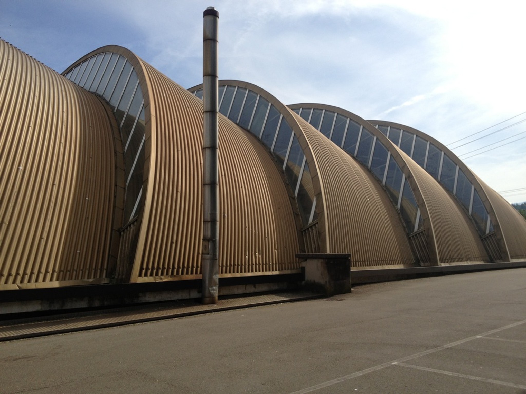 Soll unter Schutz gestellt werden: Die Kreiszylinder-Shedhalle in Gossau.