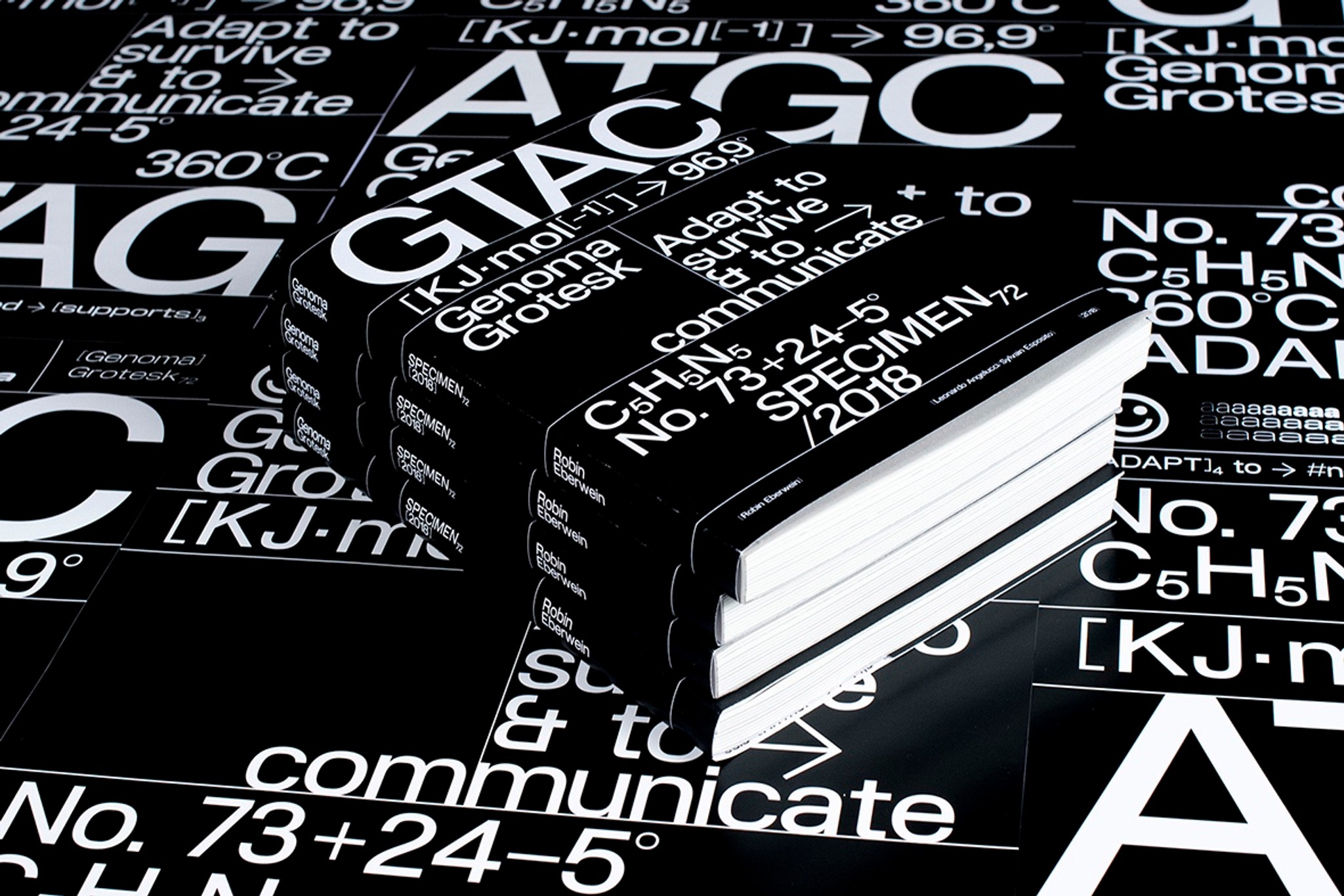 Die ‹Genoma Grotesk› ist eine ‹Variable Type›: Alle Stile passen in eine Datei.